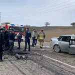 67e67ccfb73eab6d4bb7f514