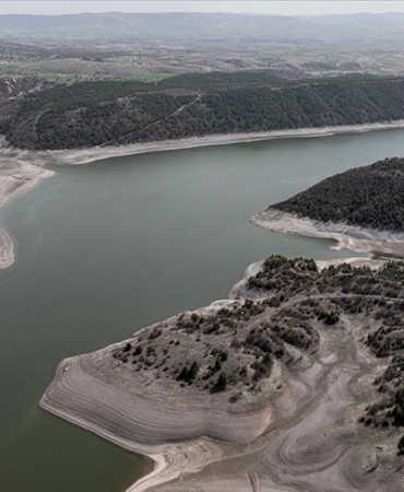 thumbs_b_c_e34aa94aaf40cc956e638d875b0cf74c