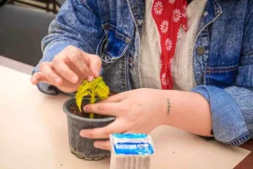 seranin-ozel-konuklari-cicek-dikti-18491909_amp