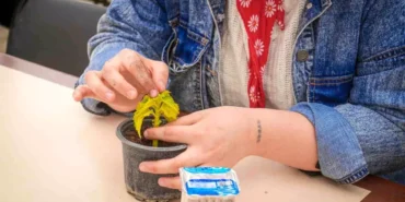 seranin-ozel-konuklari-cicek-dikti-18491909_amp