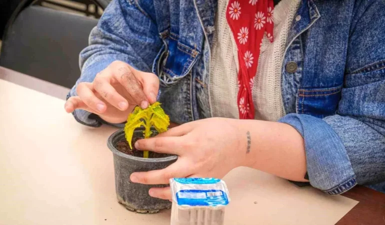 seranin-ozel-konuklari-cicek-dikti-18491909_amp